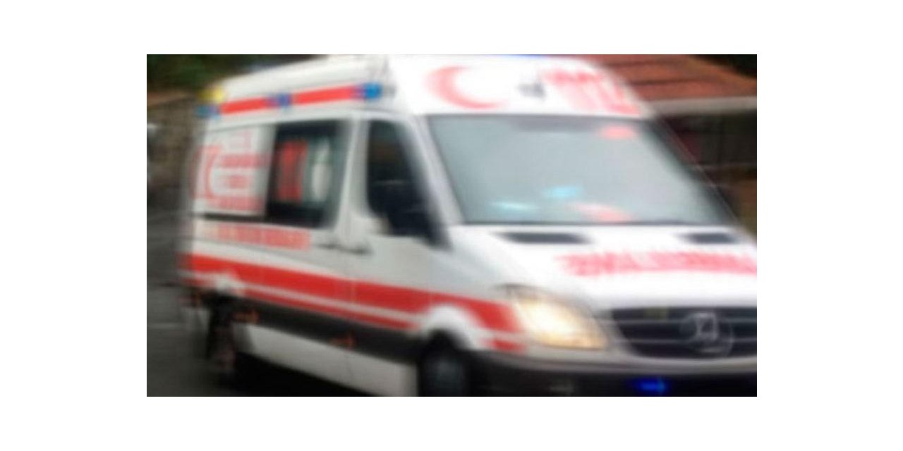 Eşinin kestiği dal üzerine düştü, hayatını kaybetti