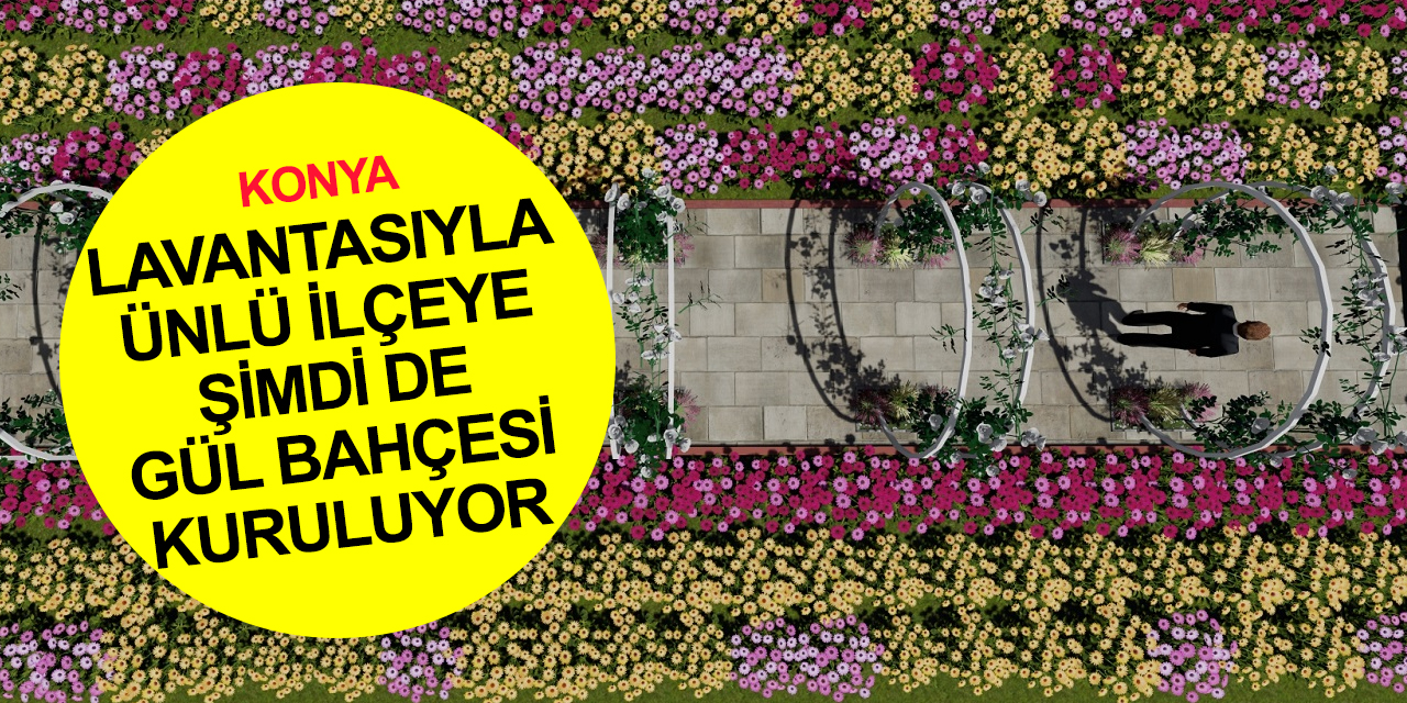 Konya haber! Lavantasıyla ünlü Karatay şimdi de gül bahçesi oluyor! 13 bin 700 metrekarelik alanda çalışma başladı