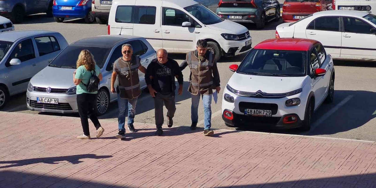 Köpek zehirlenmesiyle ilgili 1 gözaltı