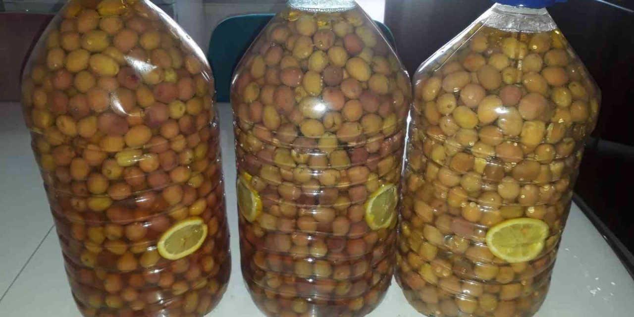 Laçin’de salamura işlemi başladı