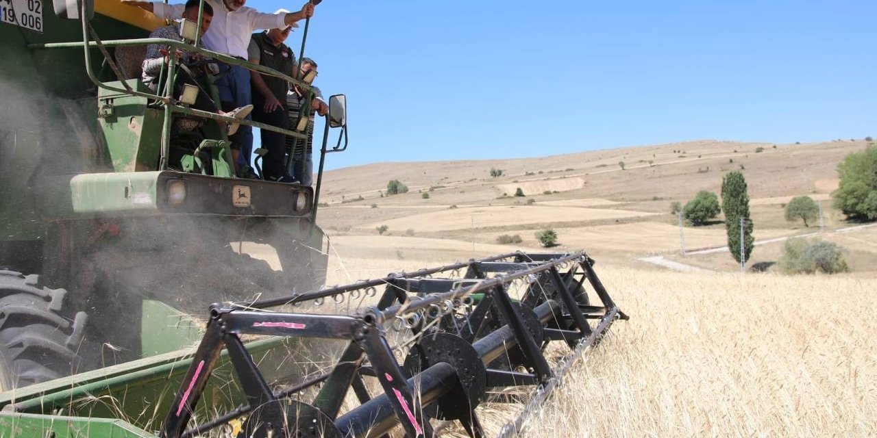 Çiftçi dostu Başkan Çolakbayrakdar’ın milli ve yerli tohum hamlesi takdir topladı