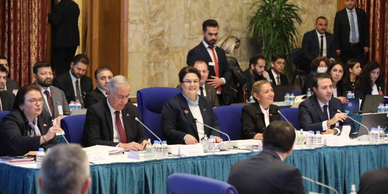 TBMM Plan ve Bütçe Komisyonunda Aile ve Sosyal Hizmetler Bakanlığı bütçesi görüşülüyor