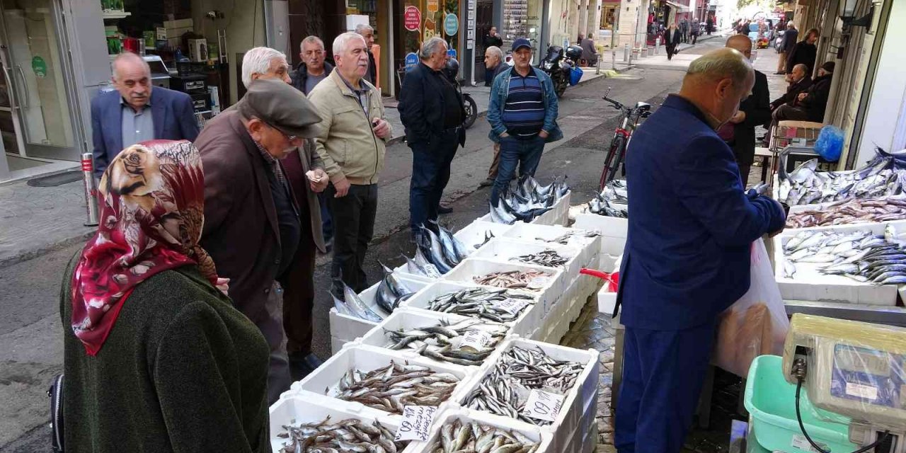 Karadeniz’de palamut bolluğu: Balıkçılarda kuyruk