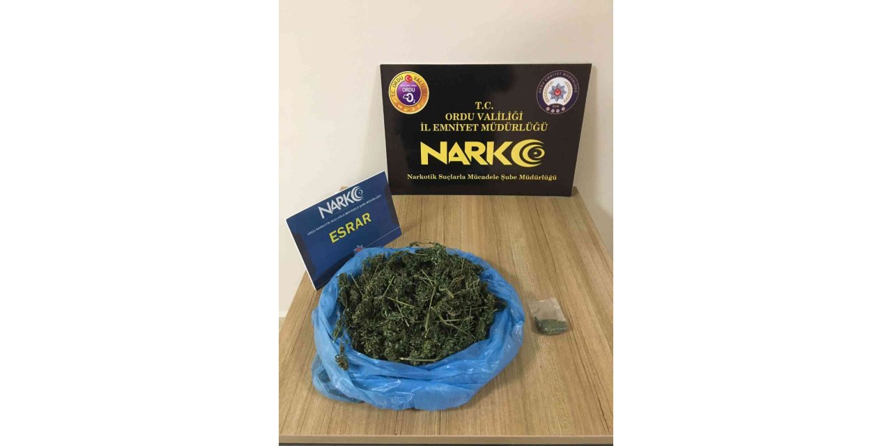 Ordu’da torbacı operasyonu: 1 tutuklama