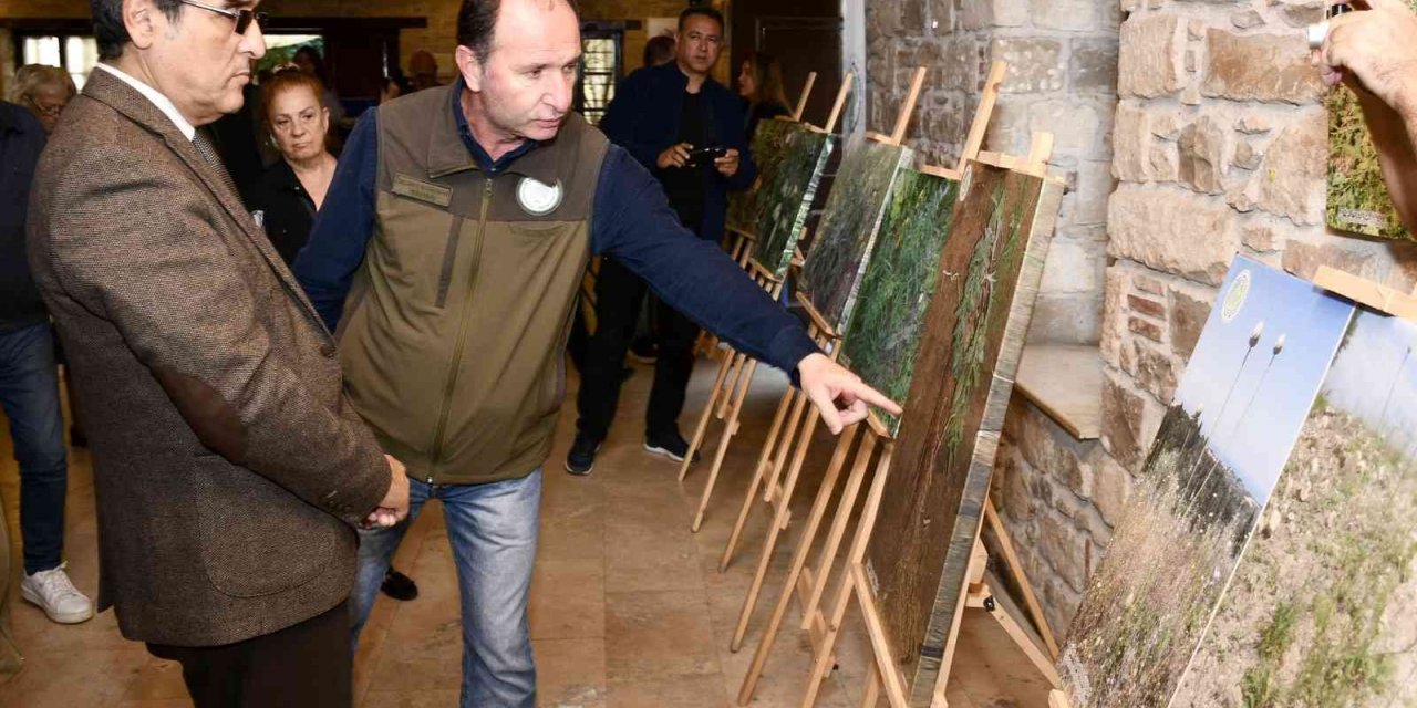 Tülüşah bitkisinin yetişme serüveni sergilendi