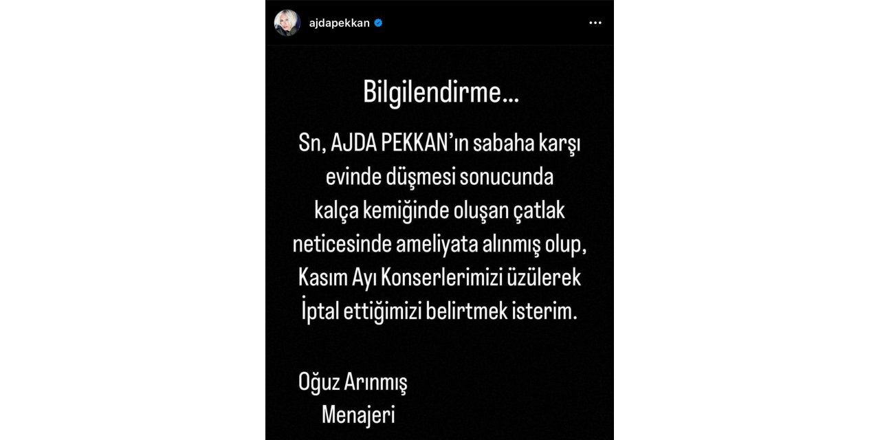 Evinde düşerek kalça kemiğini çatlatan Ajda Pekkan ameliyata alındı