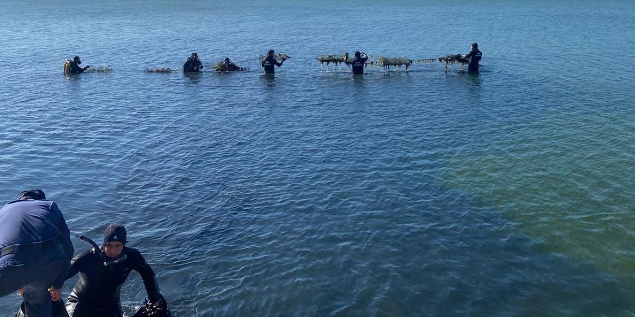 Denizden çıkarılan atıklardan bulaşık-çamaşır makinesi düğmesi