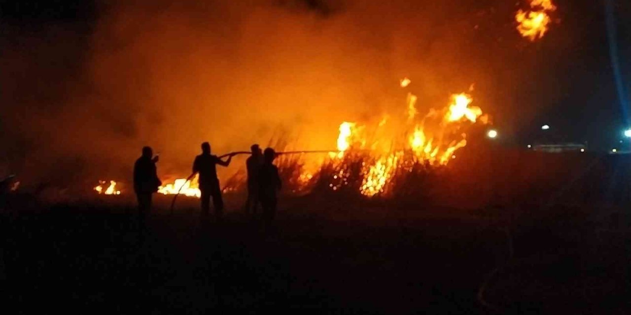 Milleyha sulak alanında çıkan yangın kontrol altında
