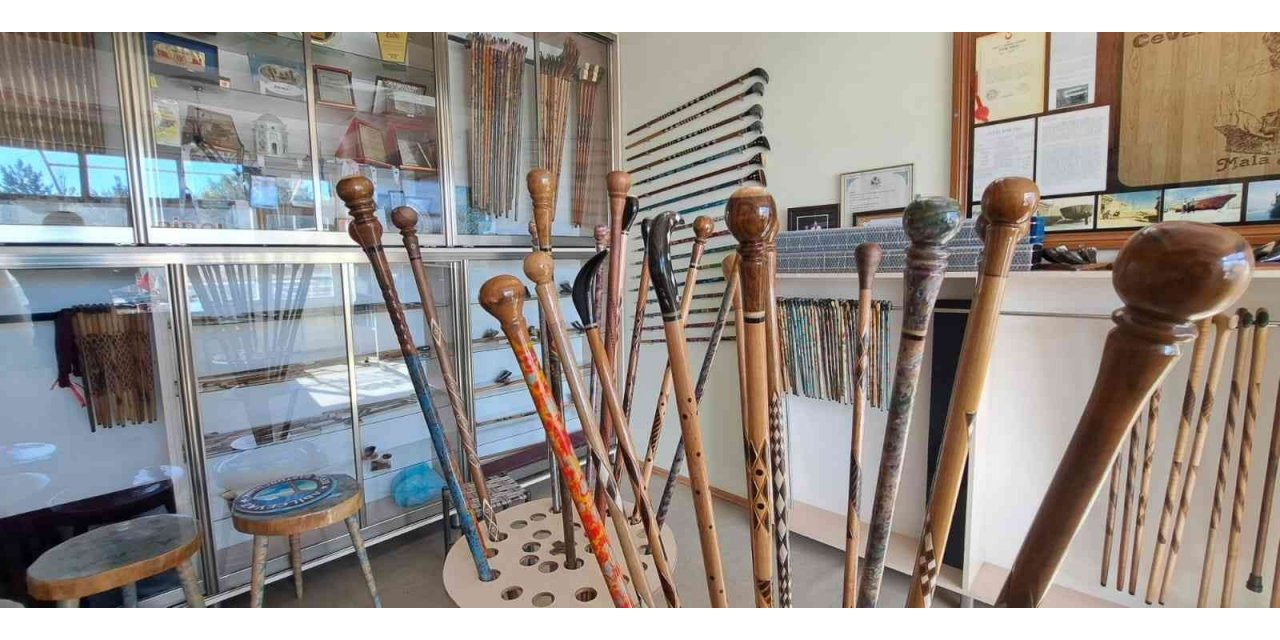 Ceviz ağacına şekil veren üçüncü kuşak baston ustası