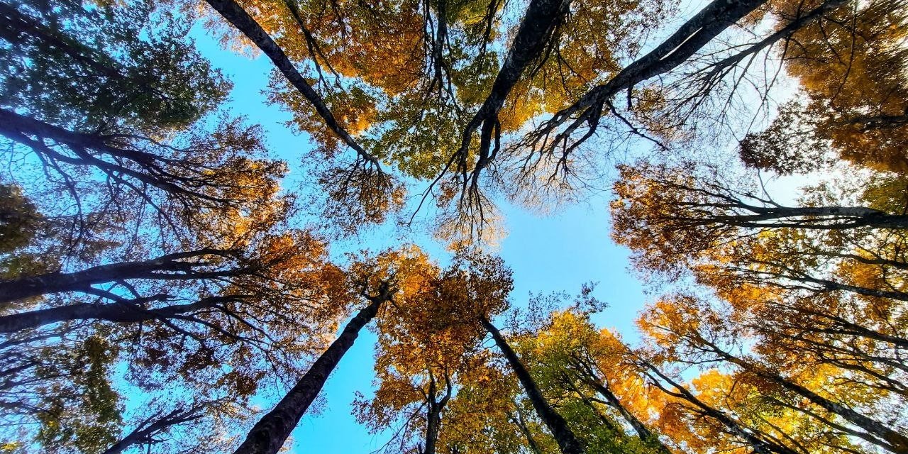 Kırsal kesimlerdeki sonbahar manzaraları hayran bırakıyor