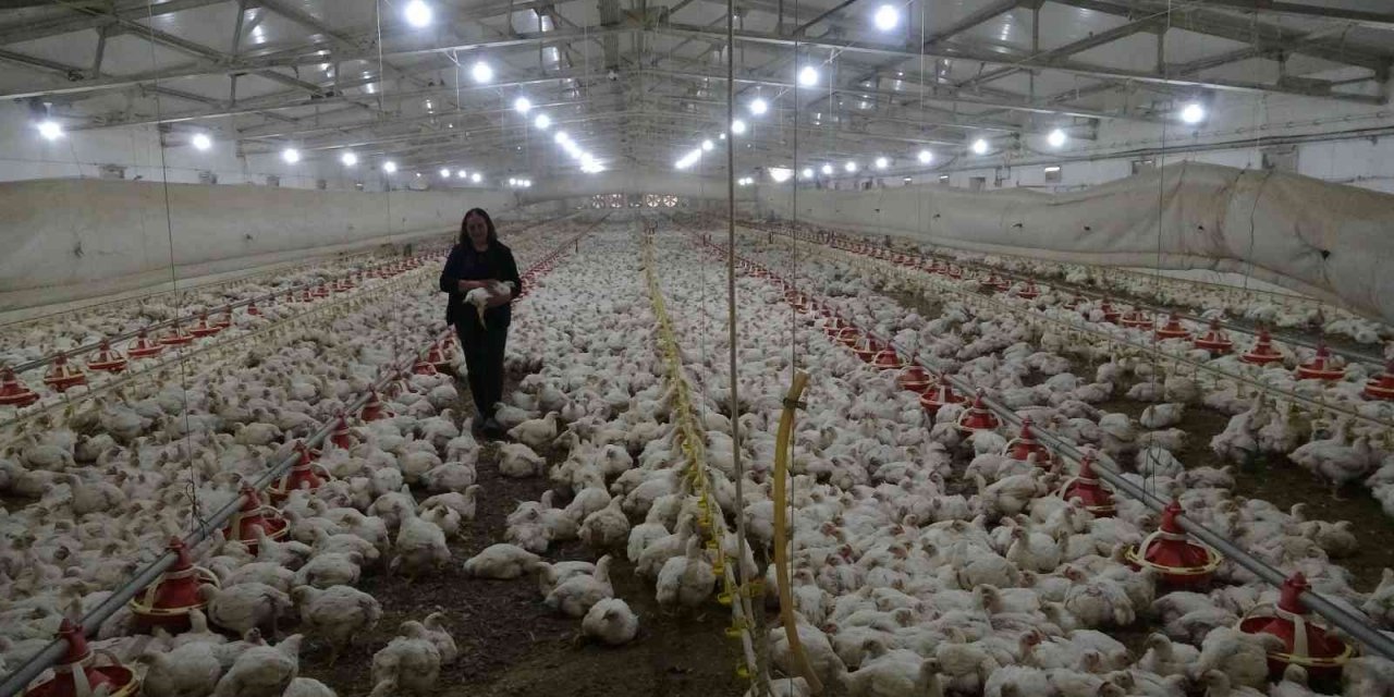 Temizlikçilikten patronluğa uzanan başarı hikayesi