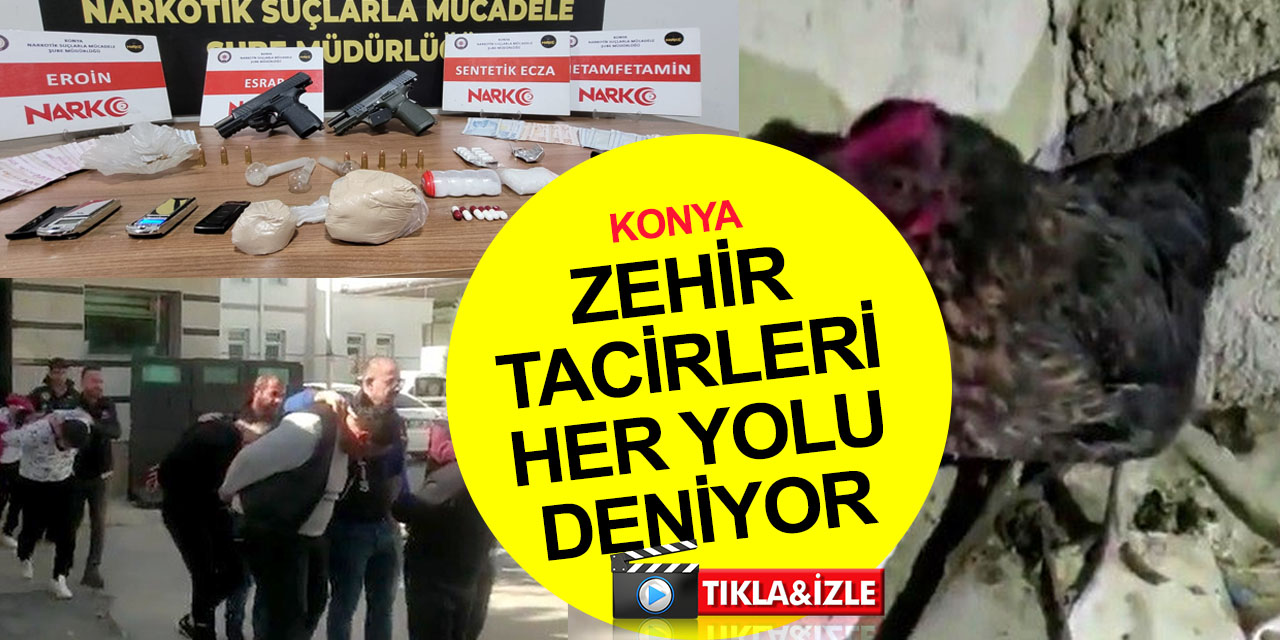 Konya'da üç ayrı zehir operasyonu! Kalfalar'da kuluçkadaki tavuğun altından uyuşturucu çıktı!