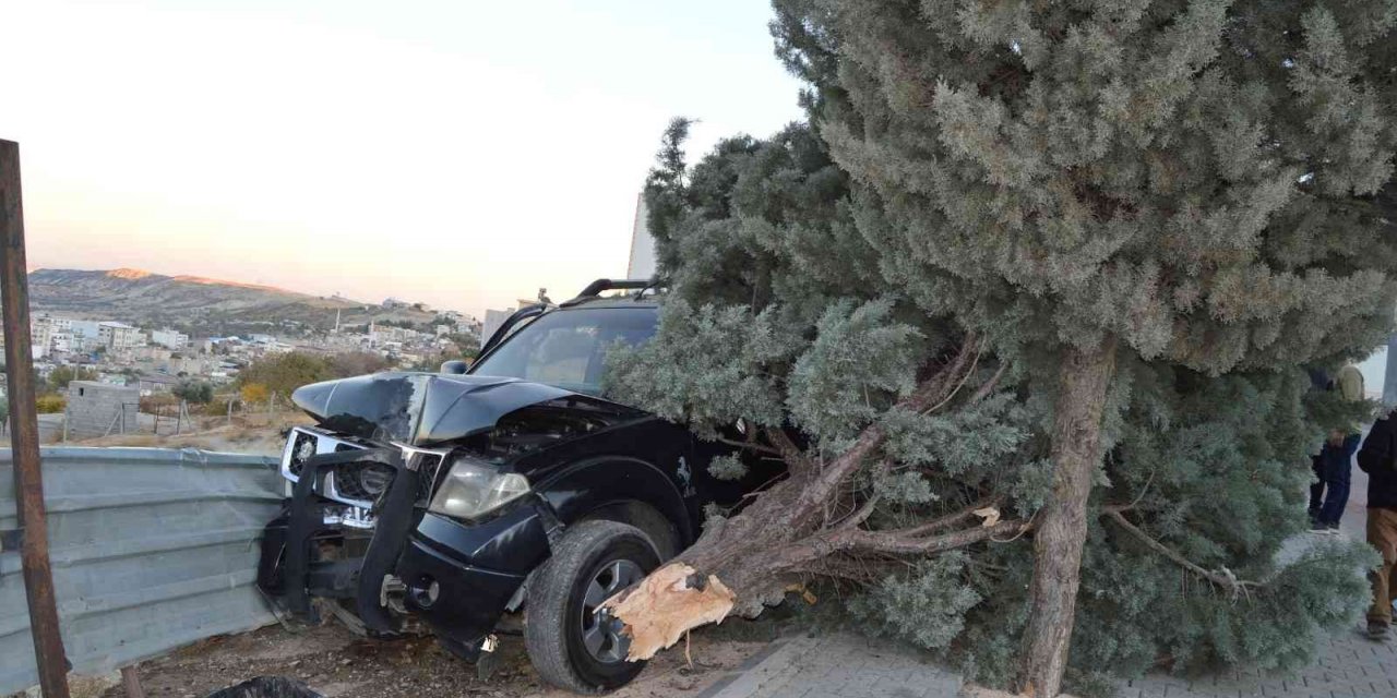 Kontrolden çıkan kamyonet ağaca çarparak durabildi