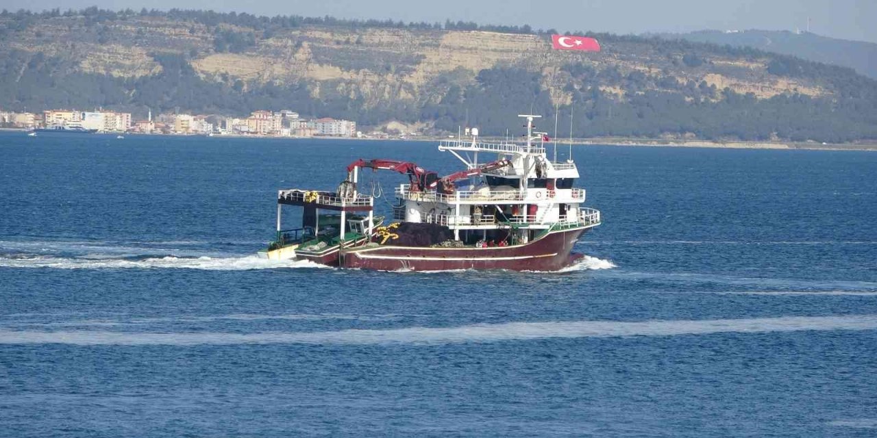 Uzmanlarından flaş balık uyarısı