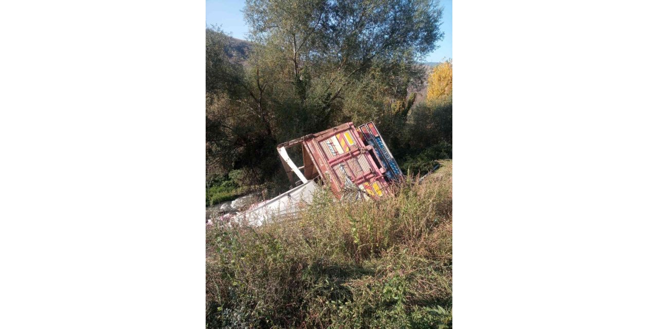 Direksiyonu kitlenen sebze yüklü kamyon şarampole uçtu