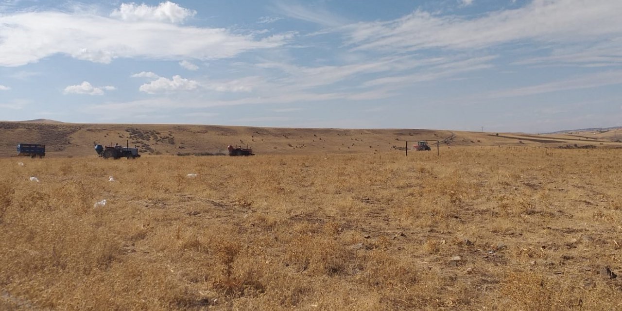 Elazığ’da 136 bin dekar alanda mera ıslah çalışmaları tamamlandı