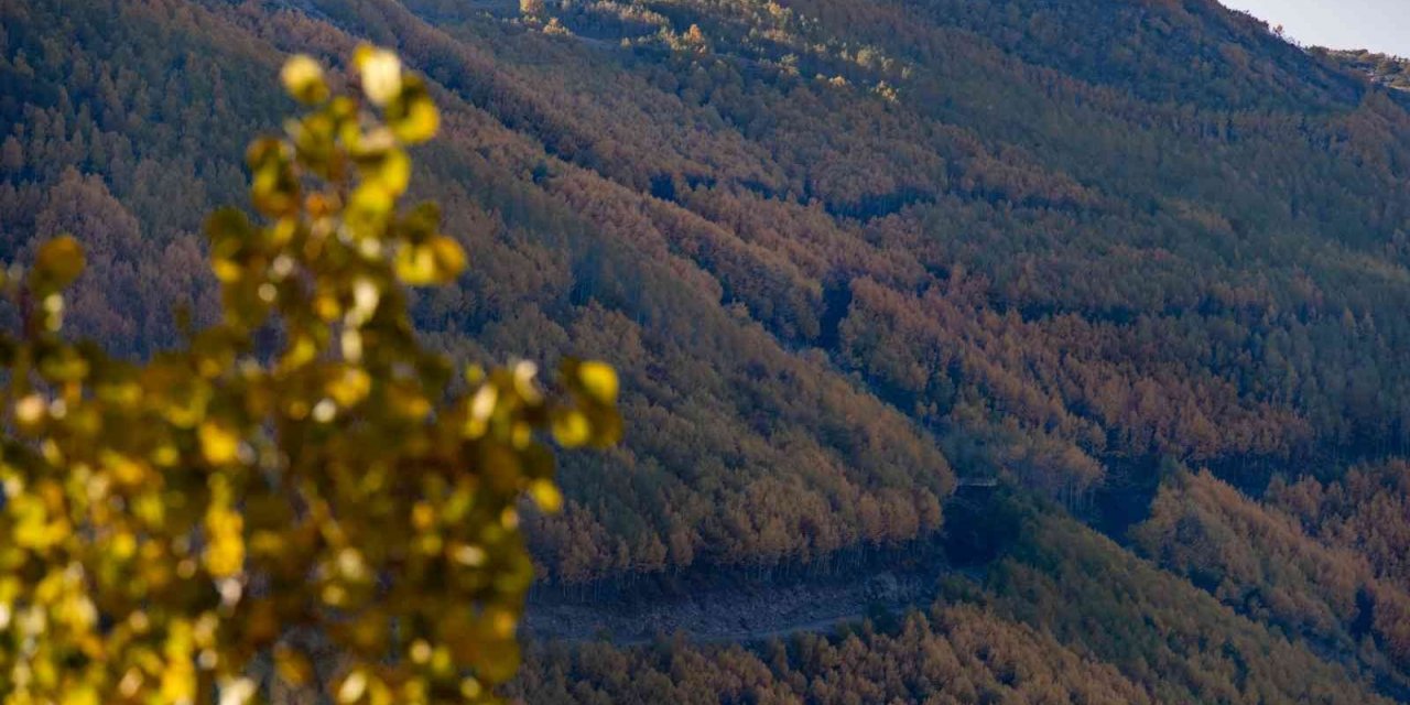 Ortaseki’de sonbahar güzelliği