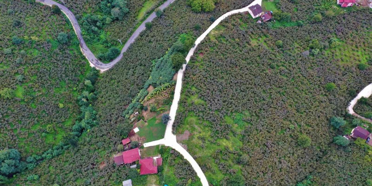 Başkan Tören: “Şehit ailemizin ve dezavantajlı vatandaşlarımızın ulaşım sorununu çözüme kavuşturduk”