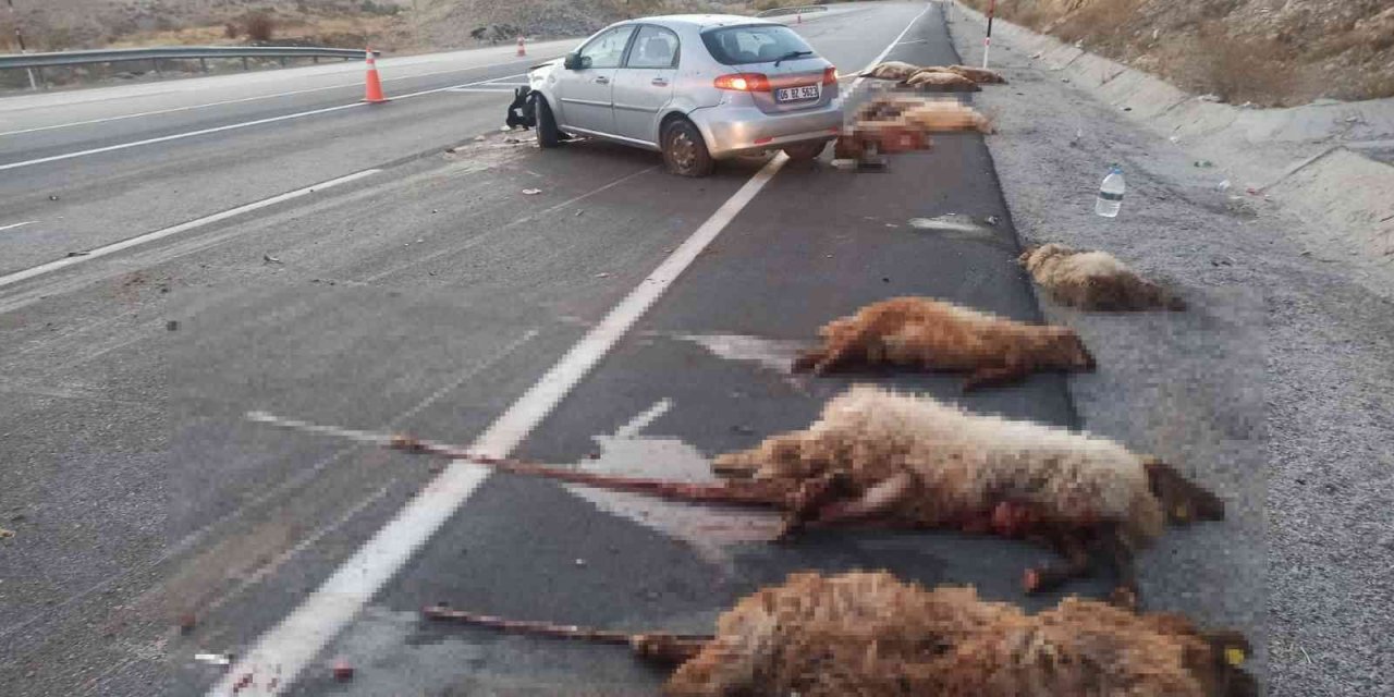 Otomobil sürüye daldı, 18 koyun telef oldu