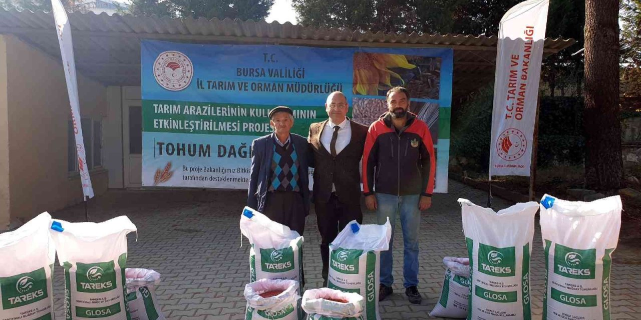 Un fiyatlarının düşmesi için buğday ekilen alanlar artıyor