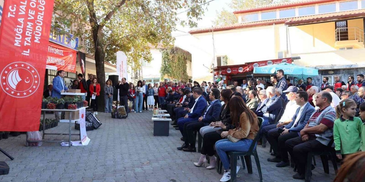 Muğla’da ’Çilek Projesi’ büyümeye devam ediyor