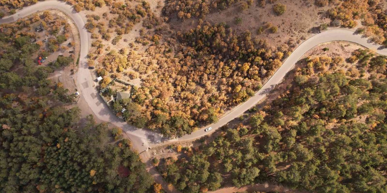Soğuksu Milli Parkı’nda masalsı sonbahar manzarası