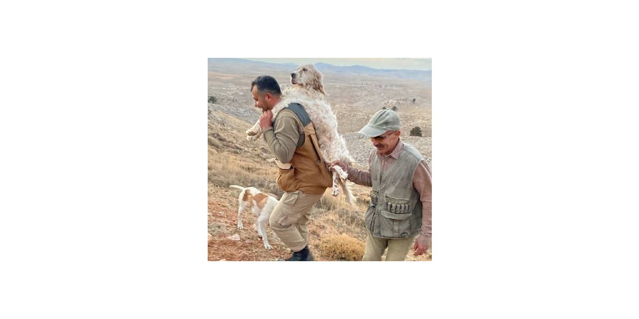 Yorulan köpeğini 5 kilometre sırtında taşıdı