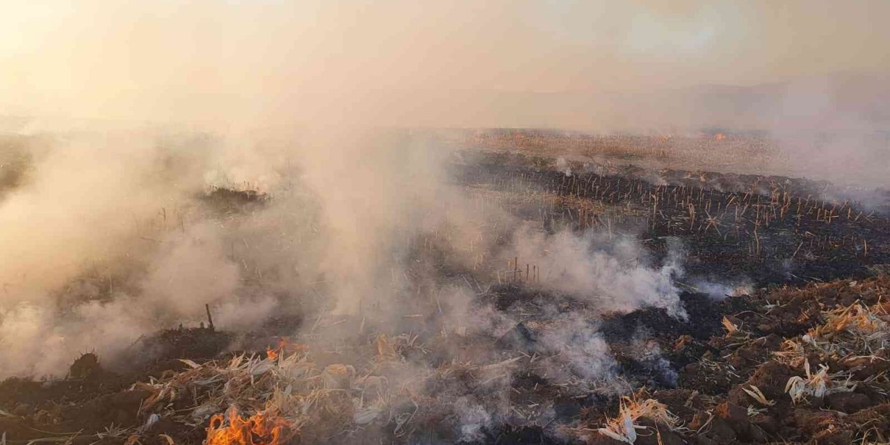 Anız yangınında 100 dönüm arazi kül oldu