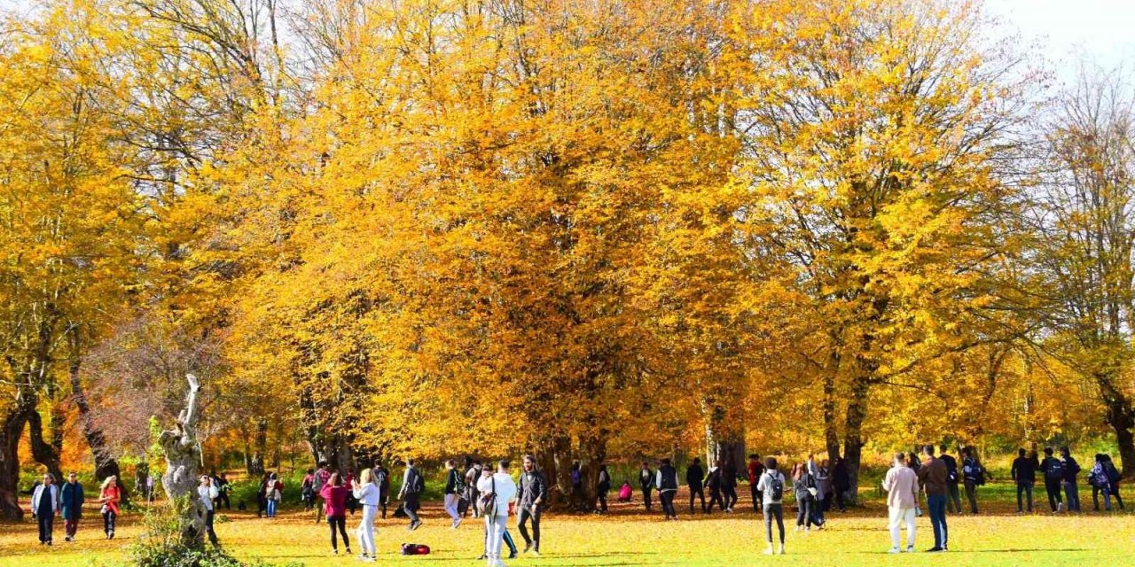 Yenice ormanlarını turizme kazandırmak için doğa yürüyüşü düzenlendi