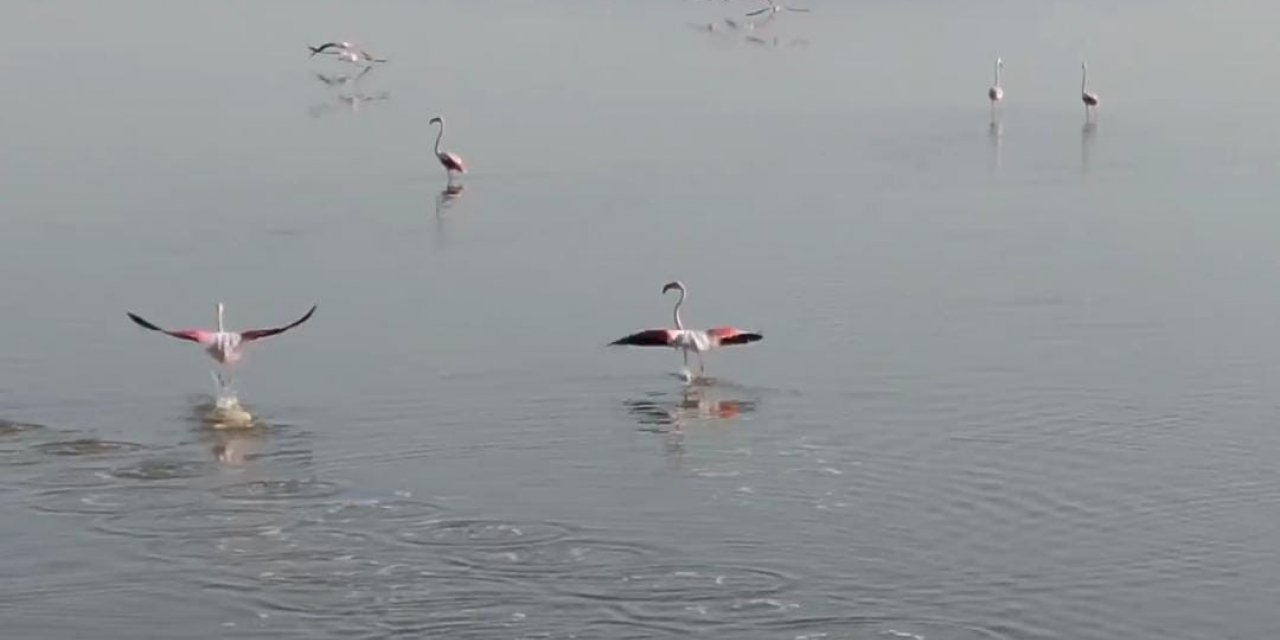 Acıgöl’ün sahipleri böyle görüntülendi