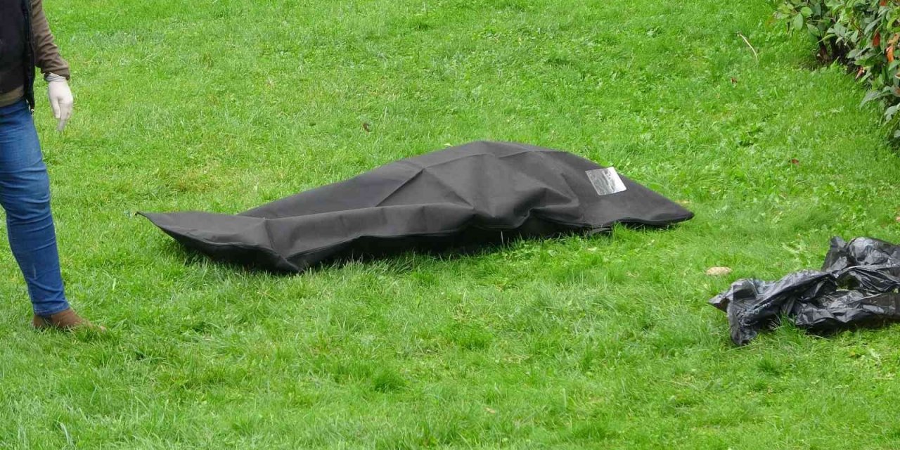 Yaşlı adam parkta ölü bulundu