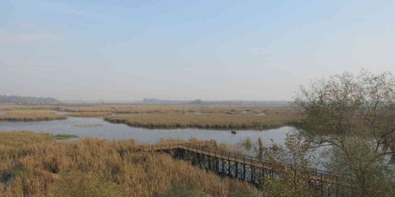 Efteni kuş gözlem kulesi hizmete açıldı