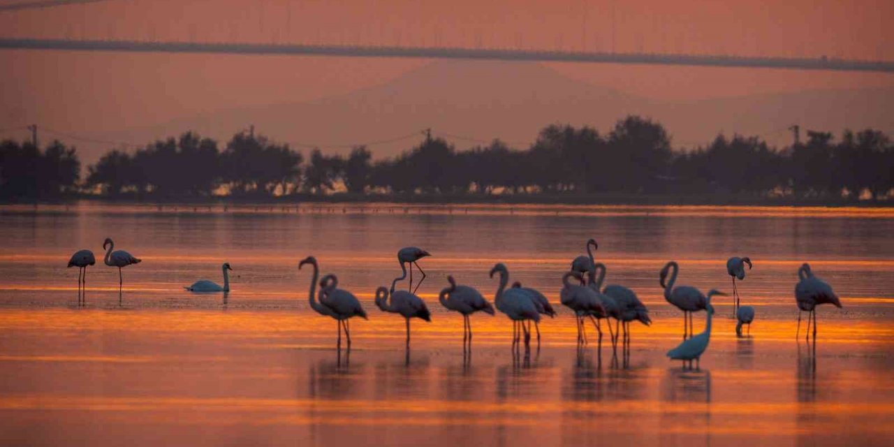 1915 Çanakkale Köprüsü’nde kartpostallık fotoğraflar