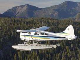 Yeni Zelanda'da küçük uçak düştü: 9 ölü