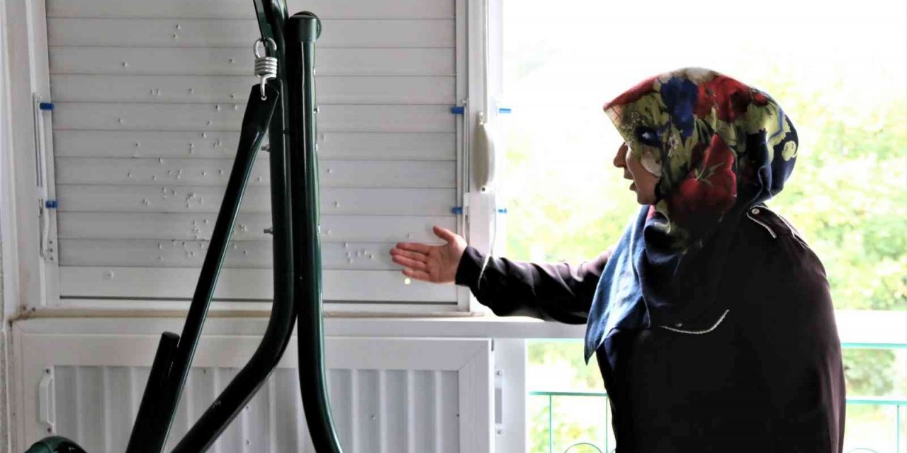 Yıkamak için balkonuna çıkan kadın, gördüğü manzara karşısında dehşete kapıldı