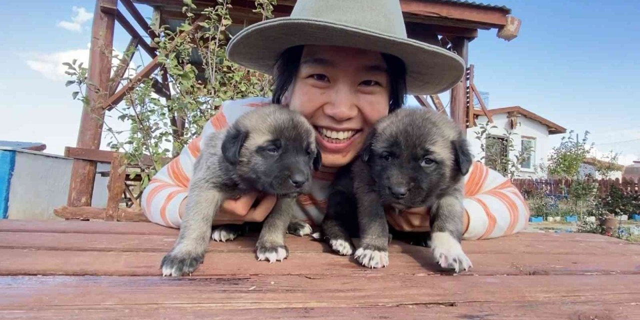 Anadolu Aslan’ı Çin’de boy gösterecek