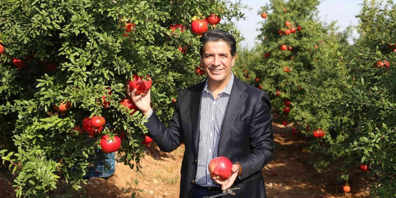 Döşemealtı’nda Nar Çalıştayı düzenlenecek