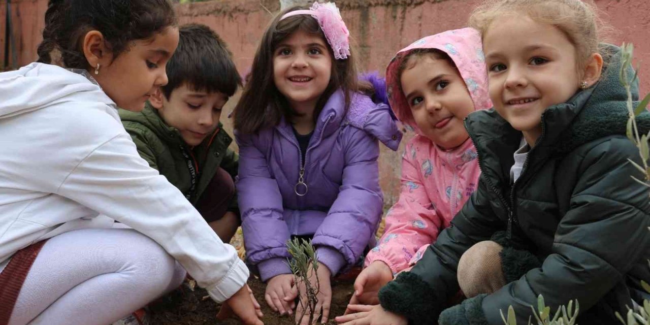 Minik öğrenciler okullarında lavanta dikti