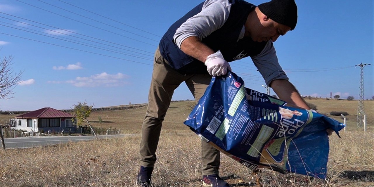 Sosyal medyada gündem olan tilki için doğal yaşam alanına yiyecek bırakıldı