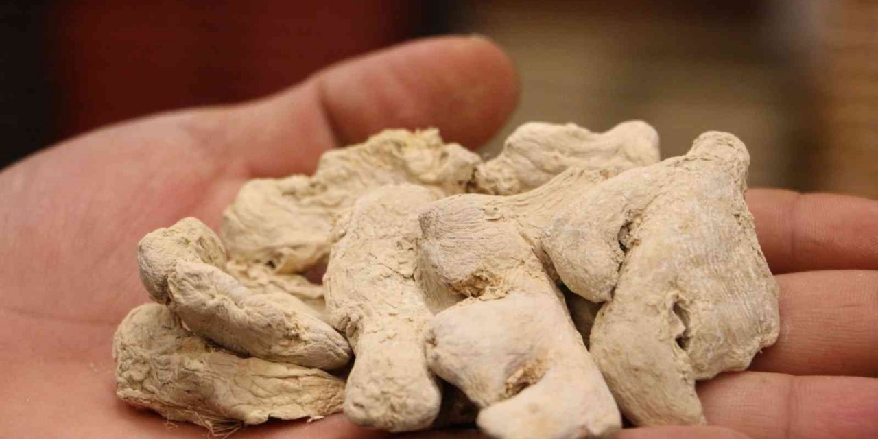 Uzmanından mide ve sindirim dostu zencefilin kullanım şekli uyarısı