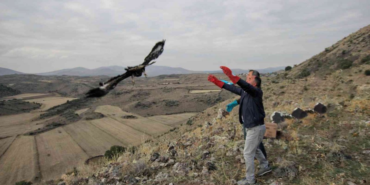 Tedavileri tamamlanan yaralı kuşlar özgürlüğe kanat çırptı