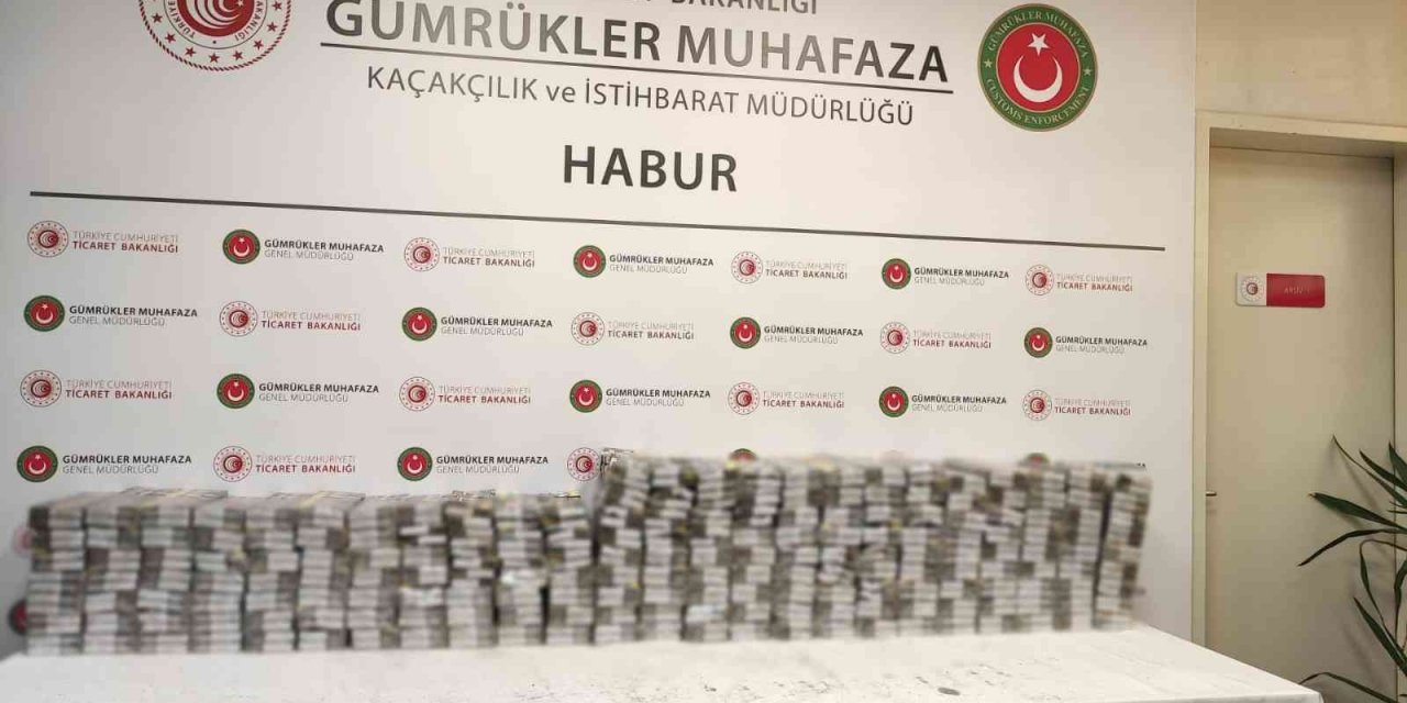 Habur Sınır Kapısı’nda kaçak sigara operasyonları