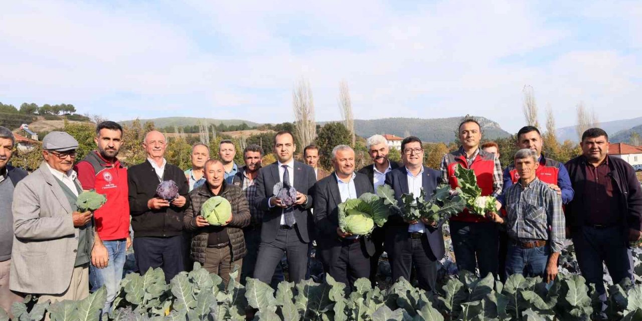 Muğla’da kışlık sebze üretimi projesinde hasat zamanı