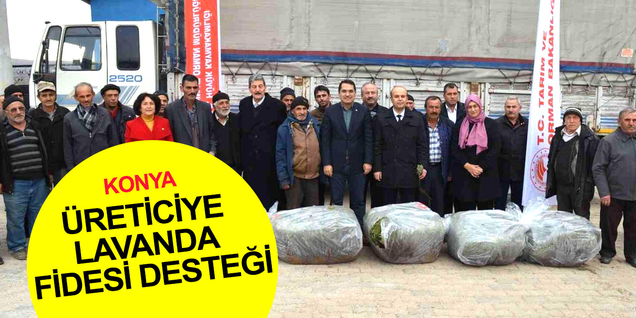Konya haber! KOP ile Hüyük'te lavanta üretimi artıyor! Üreticiye 170 bin fide dağıtıldı