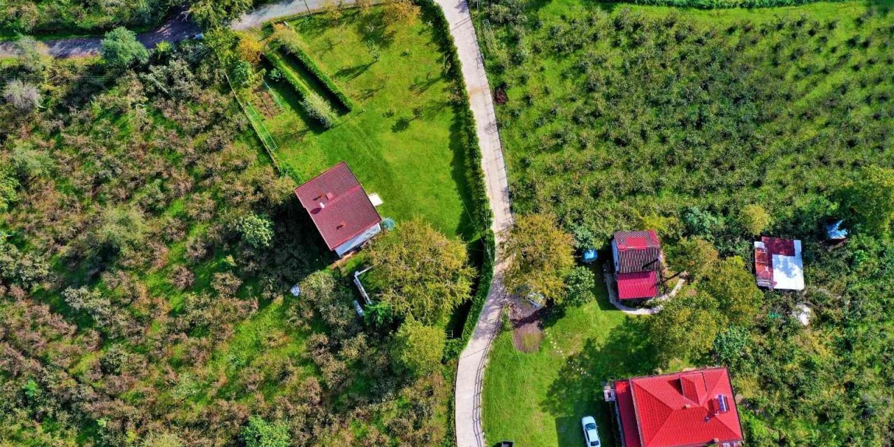 Altınordu’da beton yol çalışmaları sürüyor