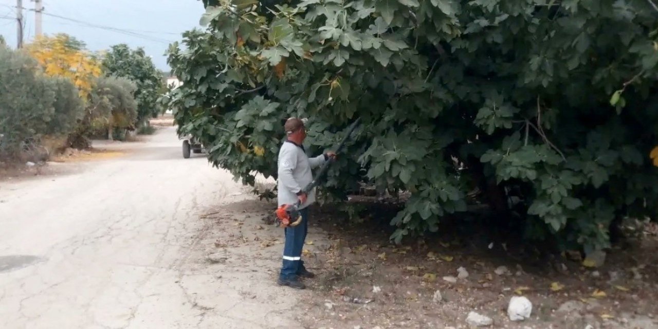 Kadirli’de görüşü engelleyen ağaçlar budanıyor