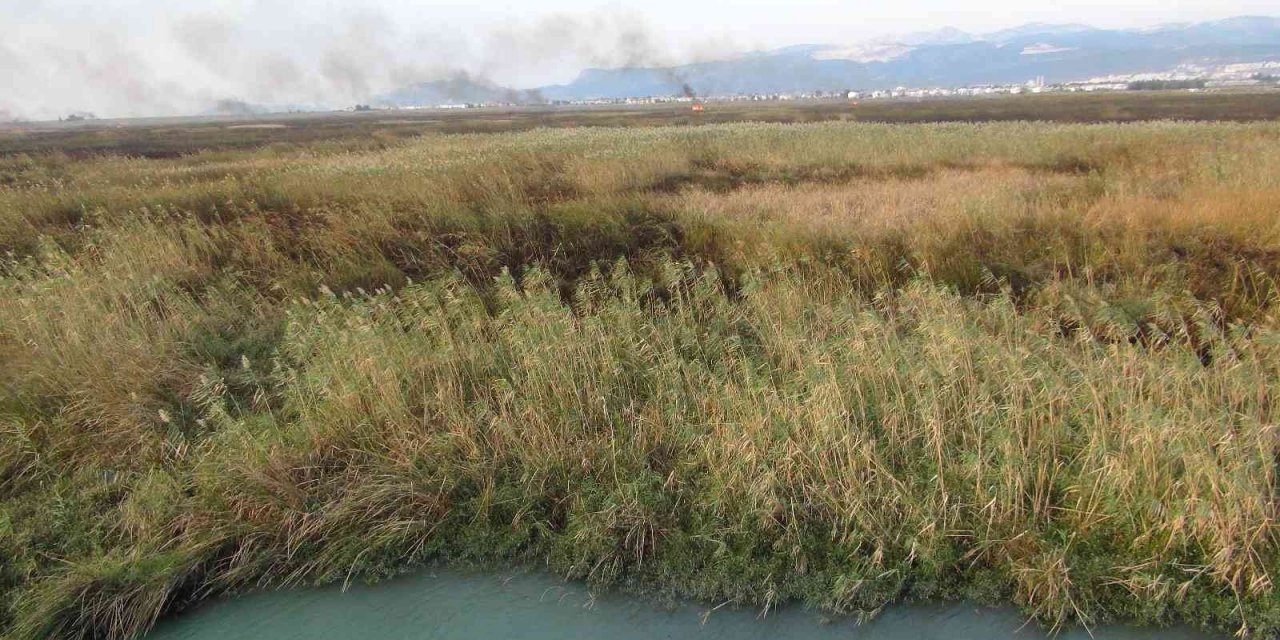 Göksu Deltası’ndaki yangın kendiliğinden söndü