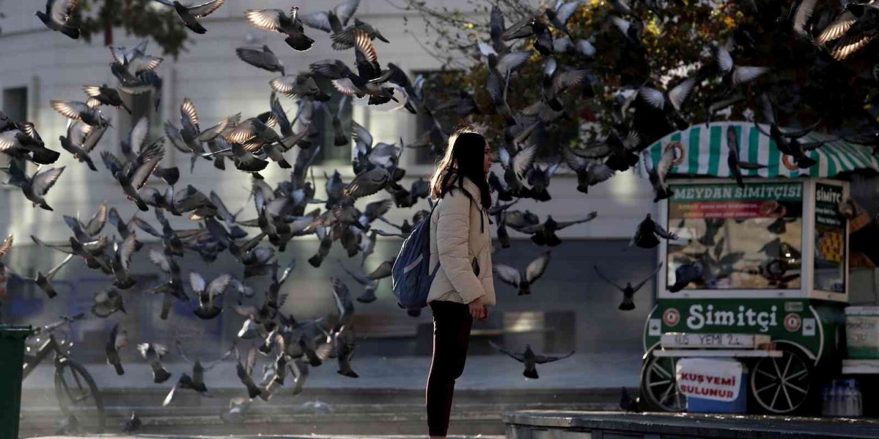 Zeytin toplayan köylü kadınlar tarlada böyle saygı duruşuna durdu