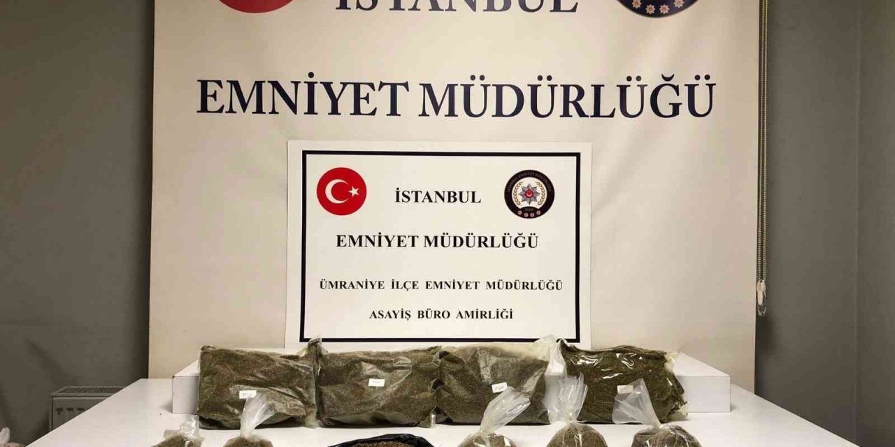 Ümraniye’de torbacının evindeki bazadan 7 kilo bonzai çıktı