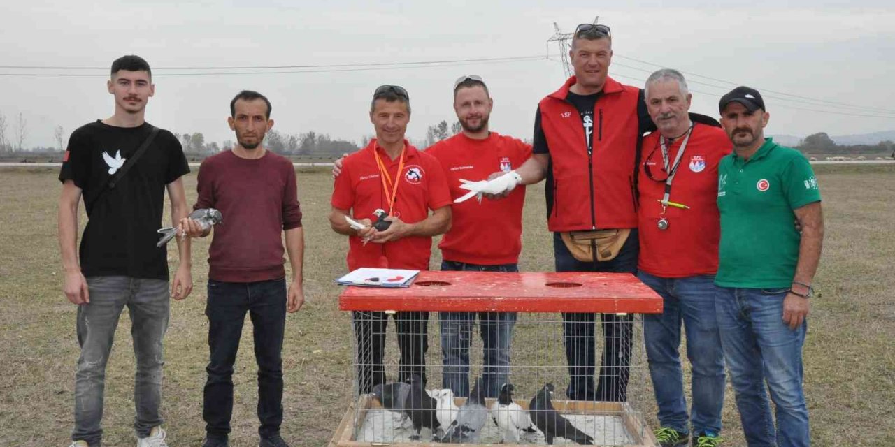 Güvercinlerin performansı tam not aldı